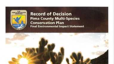 Example Record of Decision Statement for an Environmental Impact Statement