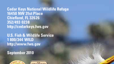 Cedar Keys General Information Brochure