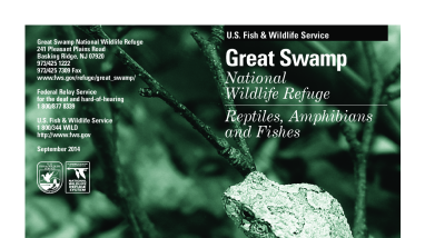 Great Swamp National Wildlife Refuge Amphibians Brochure