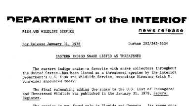 Eastern Indigo Snake Listed as Threatened January 31, 1978