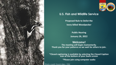 Proposed Rule to Delist the Ivory-billed Woodpecker Public Meeting Presentation