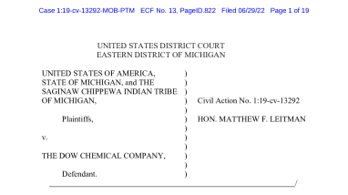 Tittabawassee River NRDAR 2022 Restoration Status Report (June 29, 2022)