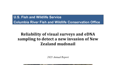 Reliability of visual surveys and eDNA sampling to detect a new invasion of New Zealand mudsnail