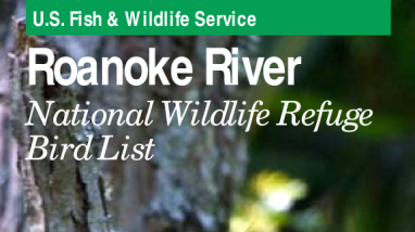 Roanoke River National Wildlife Refuge Bird List
