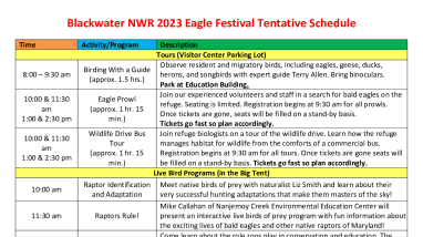 2023 Eagle Festival Schedule