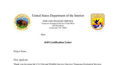 TFO self certification letter