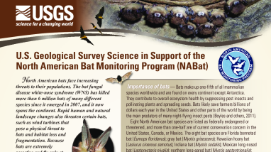 U.S. Geological Survey Science for the North American Bat Monitoring Program