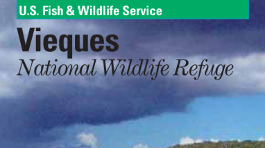 Vieques NWR Brochure in English