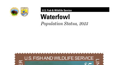 Waterfowl Population Status, 2023