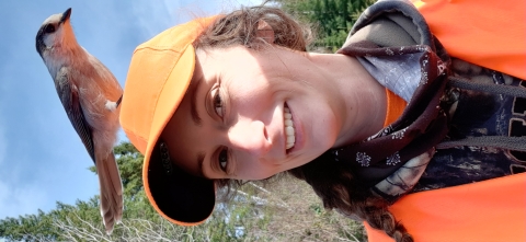A Canada Jay perches on the cap of Helen Manning, a biology technician at Rachel Carson National Wildlife Refuge. Helen is dressed in orange hunter's gear and smiles as the bird waits to take flight. 