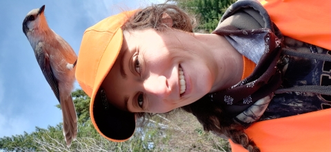 A Canada Jay perches on the cap of Helen Manning, a biology technician at Rachel Carson National Wildlife Refuge. Helen is dressed in orange hunter's gear and smiles as the bird waits to take flight.