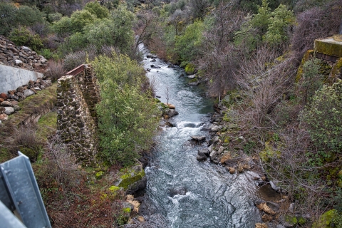 Overhead view of a tree-lined creek