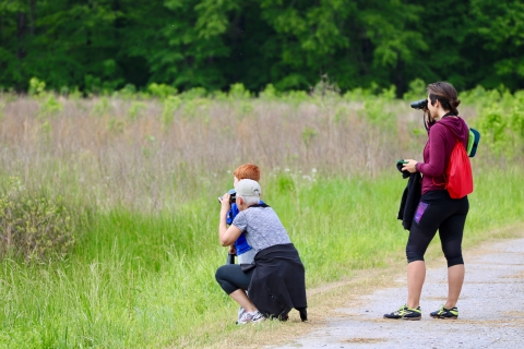A family watching wildlife while on a walk.