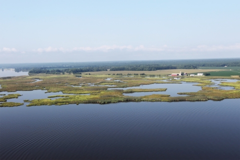 An aerial view of green wetlands and a farm property in the distance with a large body of water in the foreground.