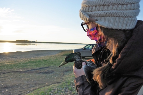 Wildlife Refuge Specialist Johannah McCollum holding Mallard Drake 