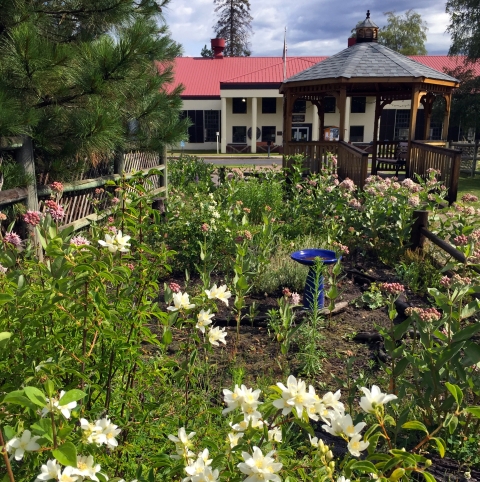 In the foreground, a bush blooms with white flowers. Mid-ground, a blue bird bath stands inside a garden surrounded by wooden fencing. In the background, a gazebo is near the garden, and the hatchery main building is beyond.