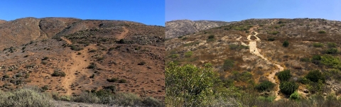 Two side-by-side photos of the same trail over 3 years. The image on the left is the "before" and the image on the right is the "after" visitors hike on trails closed to the public showing trail erosion.
