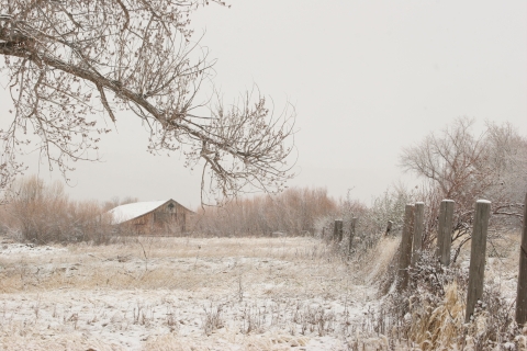 Malheur NWR_Historic P Ranch_Barbara Wheeler Photography, USFWS Volunteer