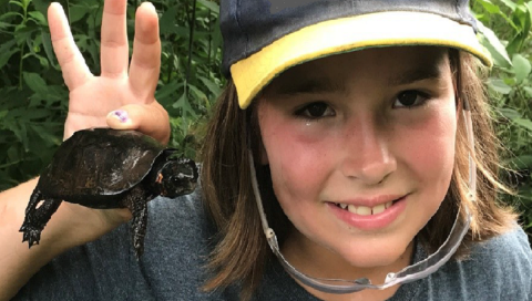 Bog turtle study at Chattahoochee Forest National Fish Hatchery