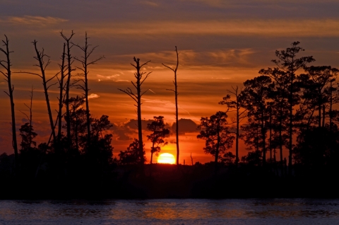 Sunset casts a red glow over a marsh.