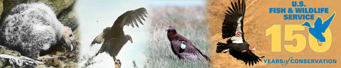 U.S. Fish and Wildlife 150th Years of Conservation
