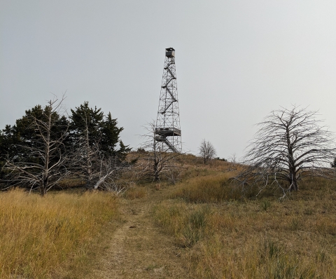 Hackberry Trail and fire tower at Valentine NWR