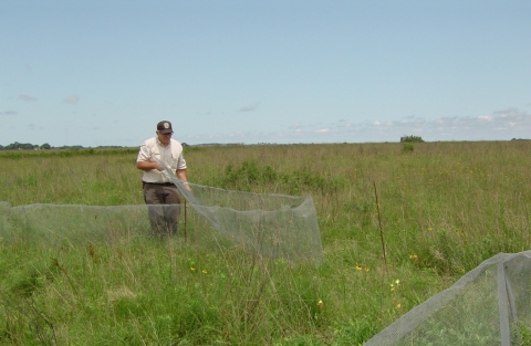 a refuge employee holds flexible mesh-like metal fencing