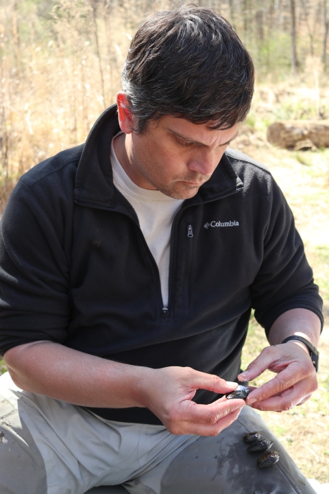 Male biologist holding a freshwater mussel with both hands