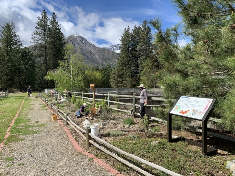 A group of people work in a garden with mountains and blue sky with clouds in the background
