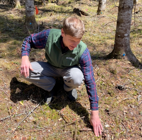 A man crouches on the forest floor pointing to 