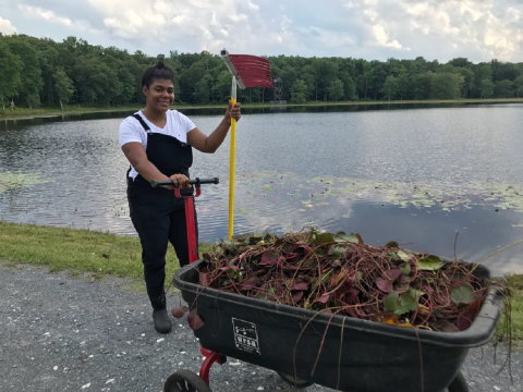 a woman holds a tool in her hand and stands next to a wheelbarrow full of foliage.