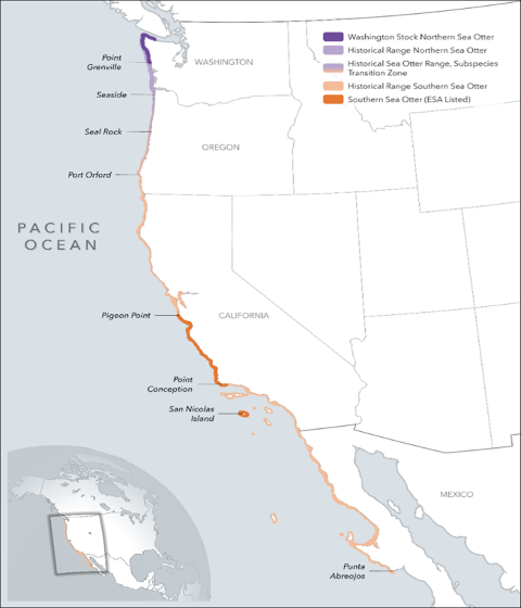 A map depicting the current and historical range of the southern sea otter