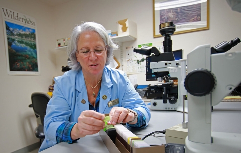 a woman looks at slides on a desk