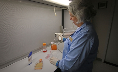 a woman working at a laboratory desk