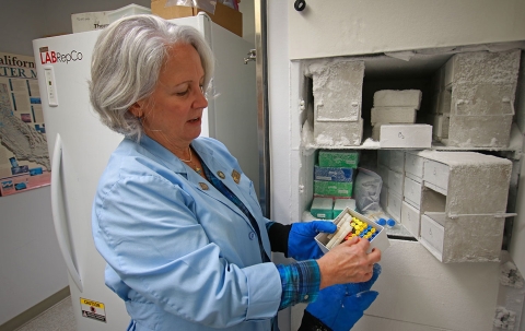 a woman pulling small tubes out of a freezer