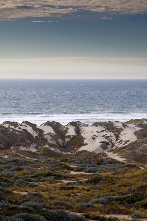 Bottom third of the image is vegetated rugged fore dunes, the middle third is a deep blue textured ocean, with small white waves crashing. The top of the image is a low distant haze in a blue sky with high altitude stratus clouds.