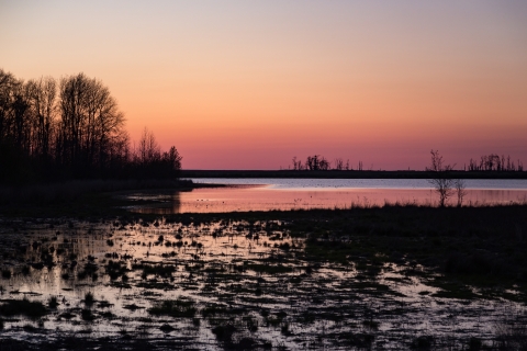Sunset over a marsh