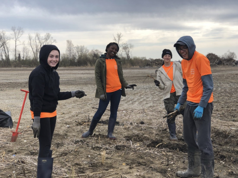 Four people wearing bright orange shirts stand in the marsh with tools