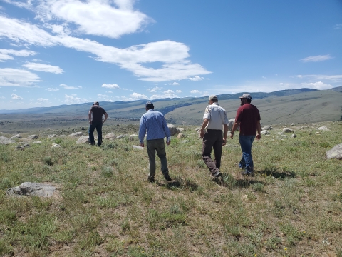 4 men walking across a grassy landscape 