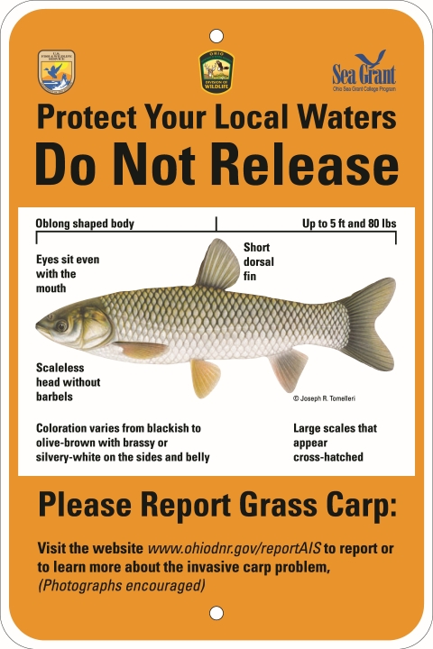 image of a fish on a sign