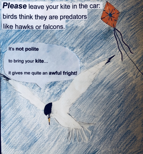 Image of example shorebird sign