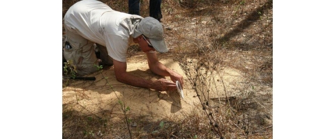 Andy Day, a biologist with the Georgia DNR shines light into a tortoise burrow with a mirror.