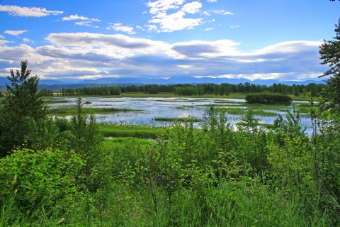 View of a wetland at Kootenai National Wildlife Refuge