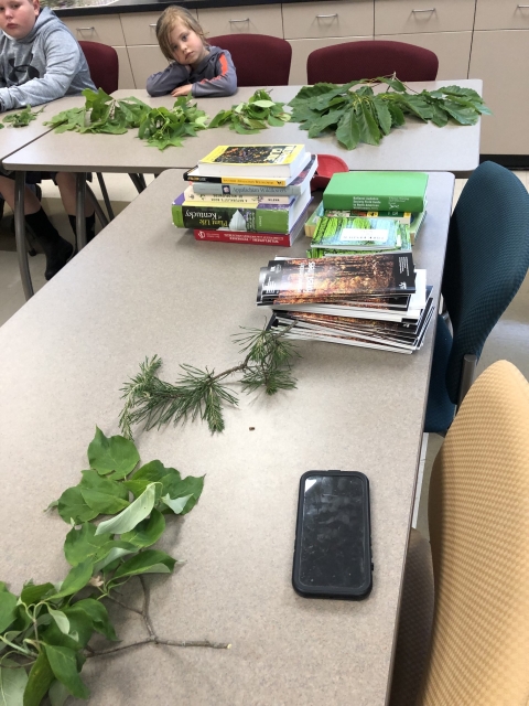 Tree limbs and books displayed on a table