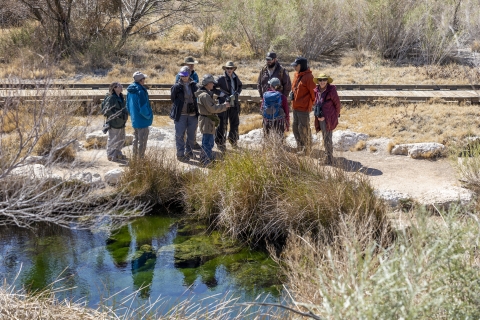 a group of people stand outside next to a pool of water