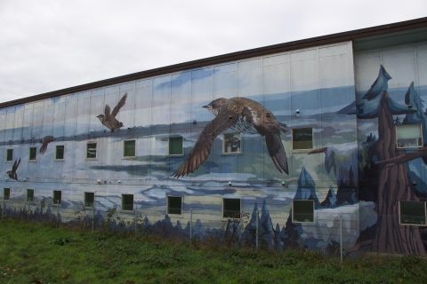 Small, chubby marbled murrelets fly over a coastal landscape consisting of redwoods and ocean coves in this mural painted by Lucas Thornton in Arcata, CA