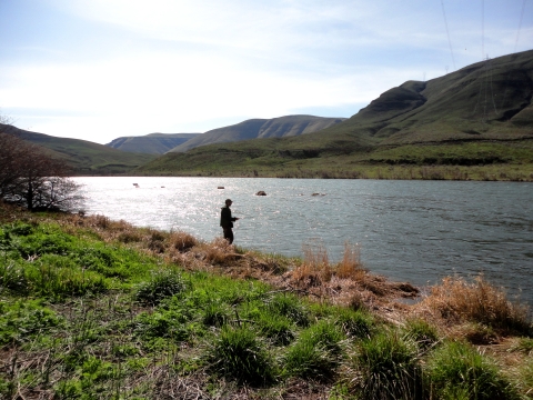 Man fishing on the banks of a river
