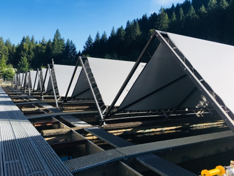 Triangular sunshields cover several fish raceways