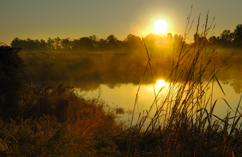 A sunrise over a pond at Occoquan Bay NWR