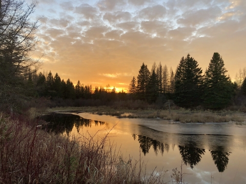 The sun sets over Butterfield Brook at Aroostook National Wildlife Refuge creating a colorful reflection of conifers and clouds dancing on the water. in the water. 